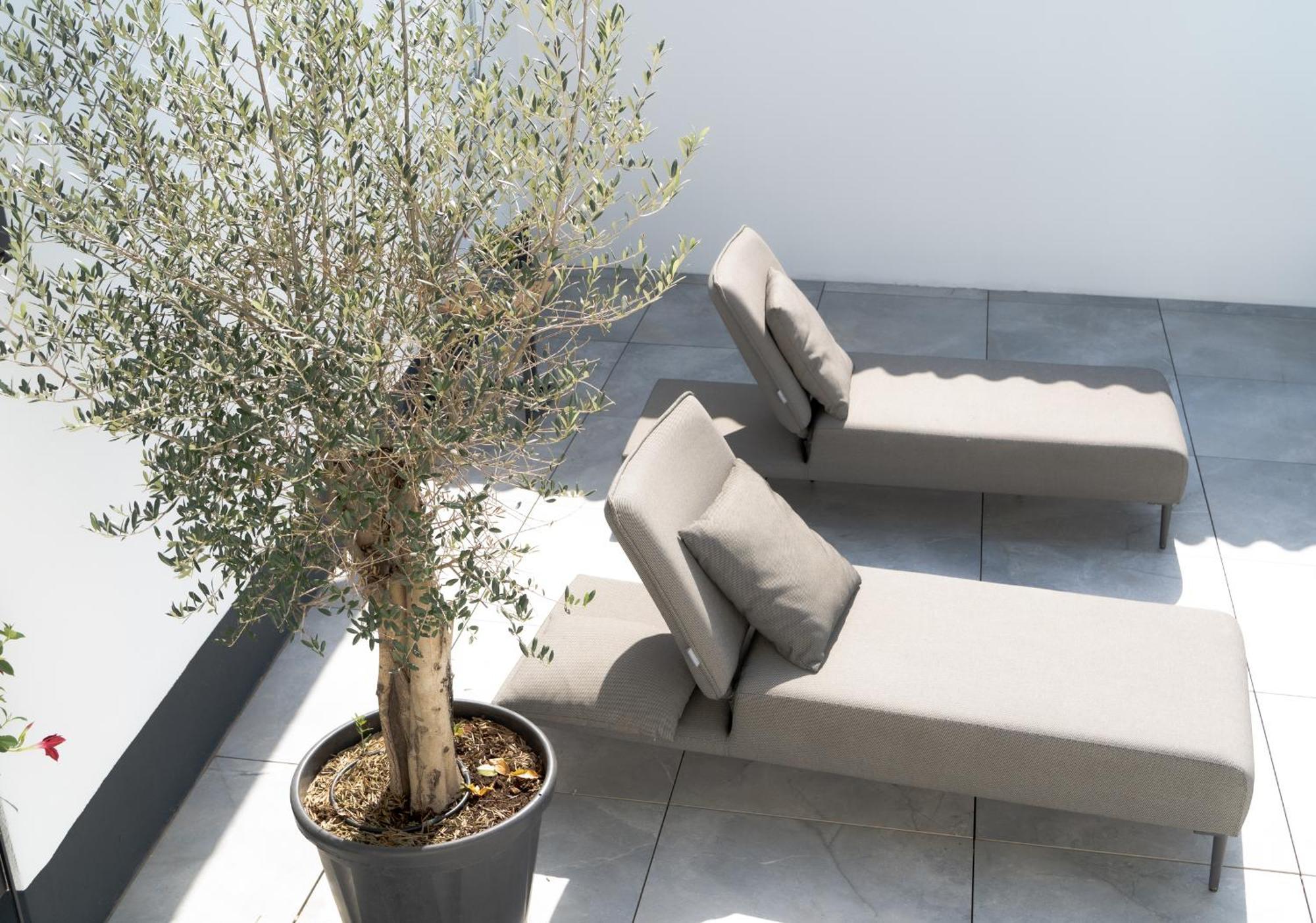 Kracher Apartment No 1 - Inklusive Pool Illmitz Ngoại thất bức ảnh